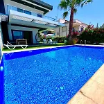 In A Modern With A Private Pool In Villa *