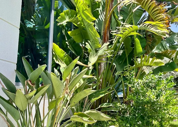 In A Modern With A Private Pool In *