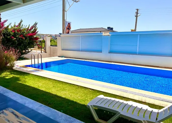 In A Modern With A Private Pool In Villa *